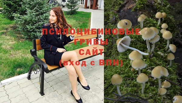 spice Майский