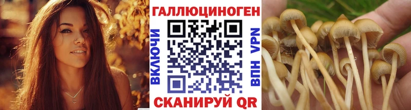 Псилоцибиновые грибы GOLDEN TEACHER  Купить  Тогучин 